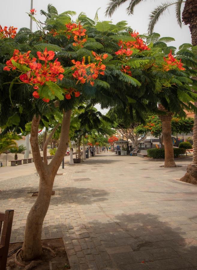 El Carmen Beach Apartment Los Cristianos  Zewnętrze zdjęcie